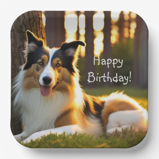 Collie Happy Birthday Papieren Bordje (Voorkant)