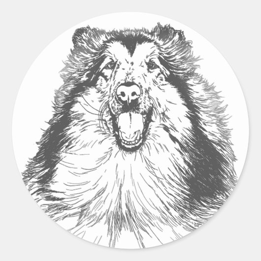 Collie Head Study Art Ronde Sticker (Voorkant)