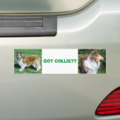 COLLIE, HEB JE COLLIE? BUMPERSTICKER (Op auto)