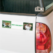 COLLIE, HEB JE COLLIE? BUMPERSTICKER (Op Truck)