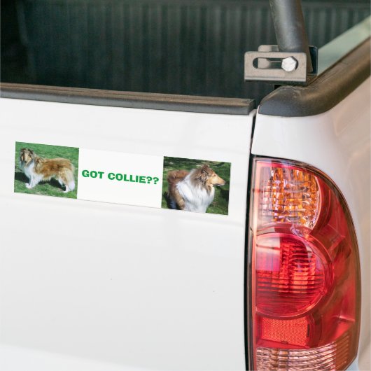 COLLIE, HEB JE COLLIE? BUMPERSTICKER (Op Truck)