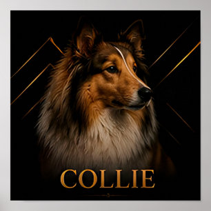 Collie Heritage Herderscollectie Poster
