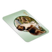 Collie Hoeder van de Schapen Magneet (Rechterzijde)