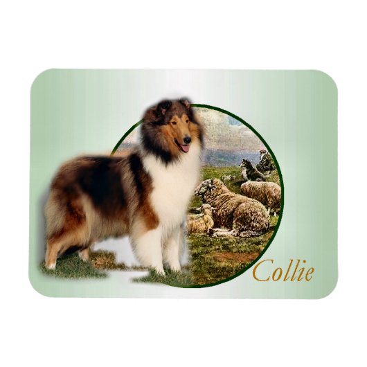Collie Hoeder van de Schapen Magneet (Horizontaal)
