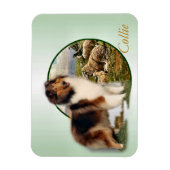 Collie Hoeder van de Schapen Magneet (Verticaal)