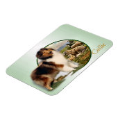 Collie Hoeder van de Schapen Magneet (Linkerzijde)