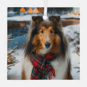Collie Holiday  Glas Ornament (Achterkant)