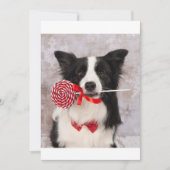 Collie hond feestdagenkaart (Voorkant)
