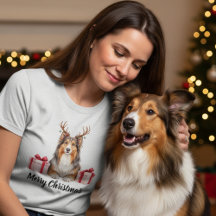 Collie hond - Festieve Collie