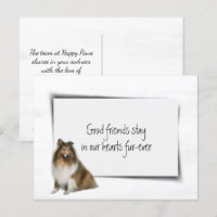 Collie Hond Huisdier Medeleven Verlies