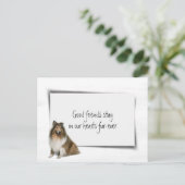 Collie hond huisdier sympathie verlies briefkaart (Staand voorkant)
