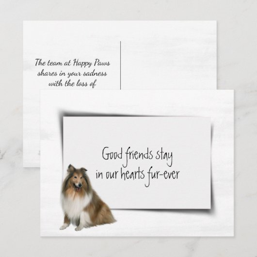 Collie hond huisdier sympathie verlies briefkaart (Voorkant / Achterkant)