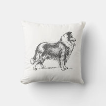 Collie hond