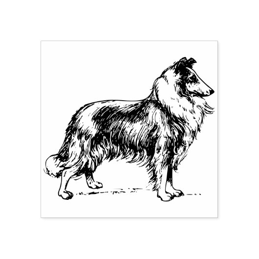Collie hond rubber stempel (Afrduk)