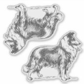 Collie hond sticker (Voorkant)