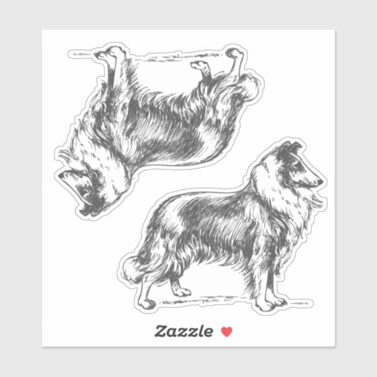 Collie hond sticker (Vel)