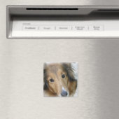 Collie Hond Vierkante Magneet (Insitu (Vaatwasser))