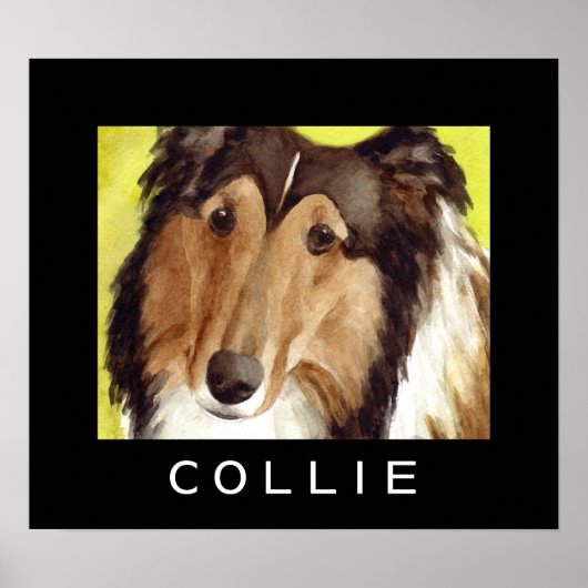 Collie-hondenposters Poster (Voorkant)