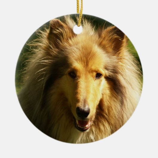 Collie Hondenras Ornament (Voorkant)