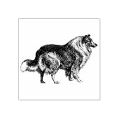 Collie-Hondenras Rubberstempel (Afrduk)