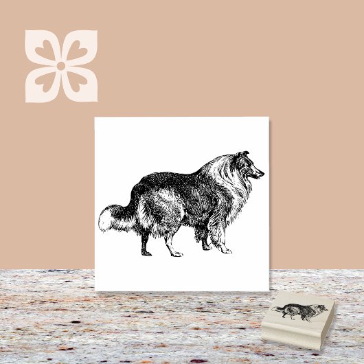 Collie-Hondenras Rubberstempel