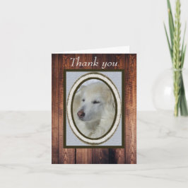 Collie/Husky Foto & Hout Dank u Blank Kaart