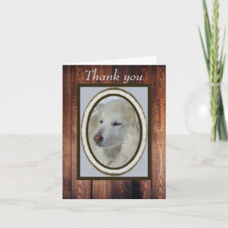 Collie/Husky Foto & Hout Dank u Blank Kaart