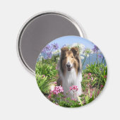Collie in Bloemen Magnet (Voorkant / Achterkant)