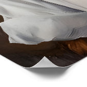 Collie In Chefs Hat Poster, Pet Poster, Collie In Poster (Hoek)