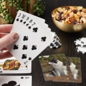 Collie in de bossen pokerkaarten (Insitu)