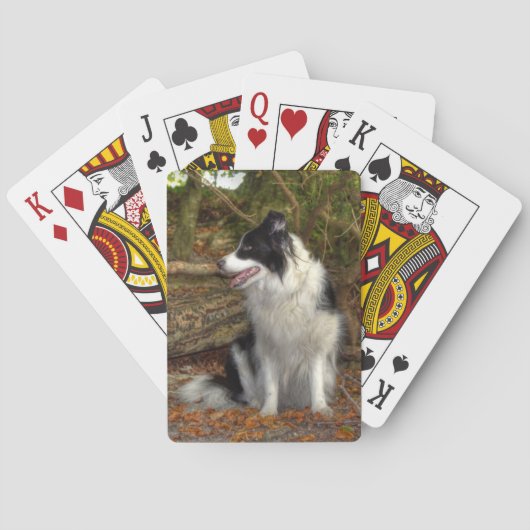 Collie in de bossen pokerkaarten (Achterkant)