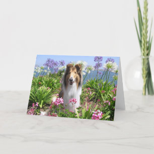 Collie in de Kaart van Bloemen