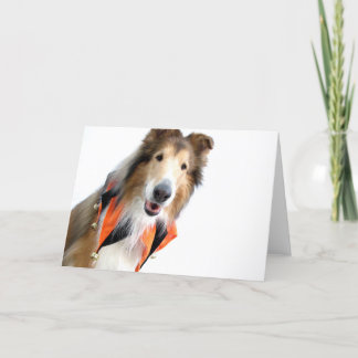 Collie in de Kaarten van de Kraag van de Nar