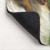 Collie in de Muismat Tulps (Hoek)