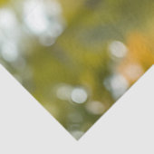 Collie in gras- ontkoppelingspapier tissuepapier (Detail)