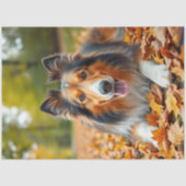 Collie in gras- ontkoppelingspapier tissuepapier (Voorkant)