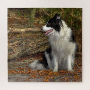 Collie in het bos 676-stuk legpuzzel