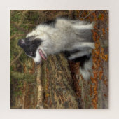 Collie in het bos 676 stukjes legpuzzel (Verticaal)