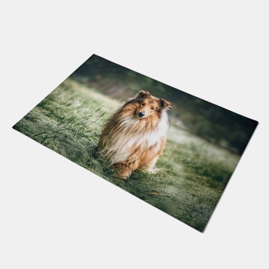 Collie in het Rough Grassland Deurmat (Schuin)