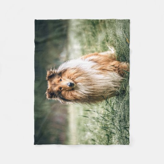 Collie in het Rough Grassland Fleece Deken (Voorkant)