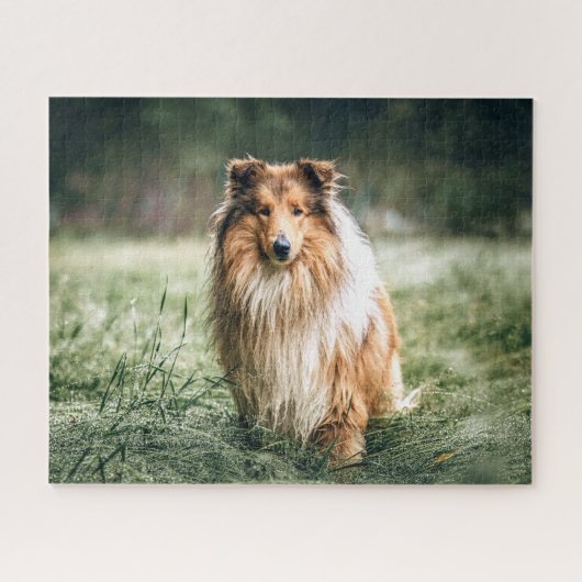 Collie in het Rough Grassland Legpuzzel (Horizontaal)