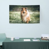 Collie in het Rough Grassland Spandoek (Beurs)