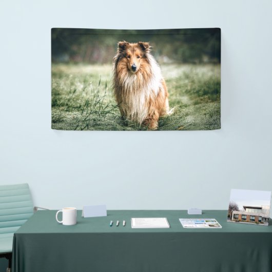 Collie in het Rough Grassland Spandoek (Beurs)