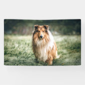 Collie in het Rough Grassland Spandoek (Horizontaal)