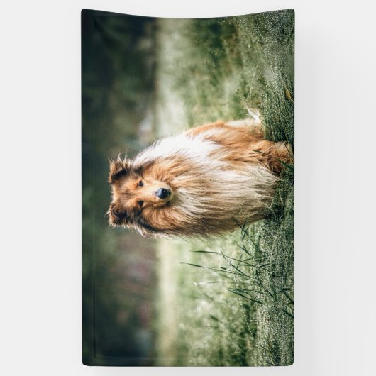 Collie in het Rough Grassland Spandoek (Verticaal)