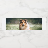 Collie in het Rough Grassland Waterfles Etiket (Enkel label)