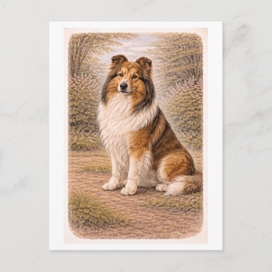Collie in vintage stijl briefkaart (Voorkant)