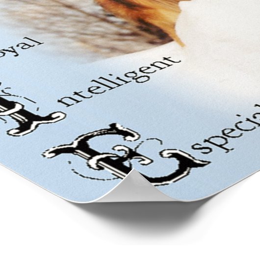 Collie is... Rough Collie Art Poster (Hoek)