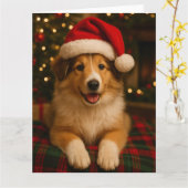 Collie Kerstkaart Kaart (Gele Bloem)