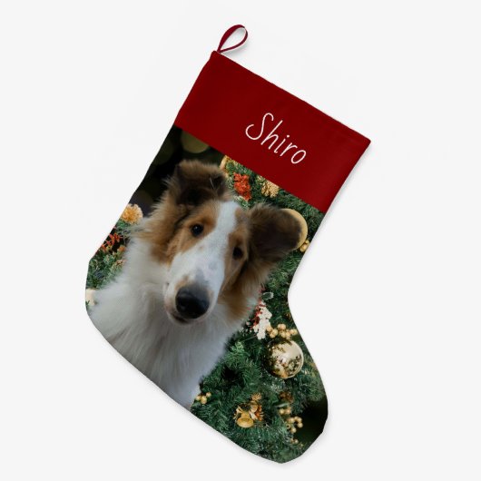 Collie Kerstkous Grote Kerstsok (Voorkant (Hangend))